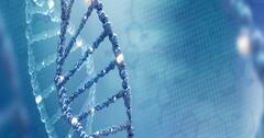 Useful Genetics Part 1 How Our Genes Shape Us
